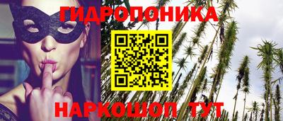 стафф Гулькевичи