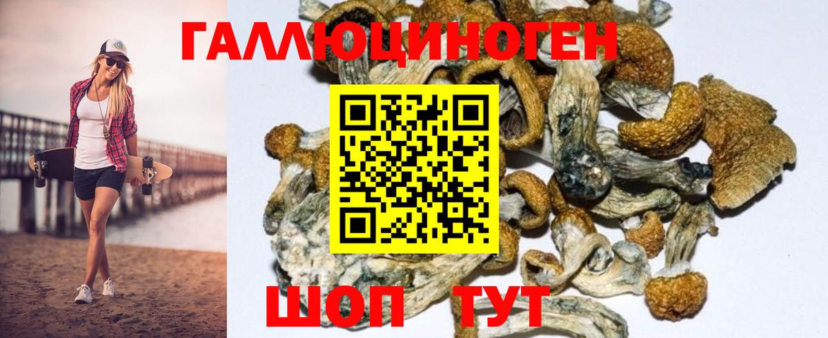 Псилоцибиновые грибы Psilocybe  Вход с VPN  Ростов Великий 