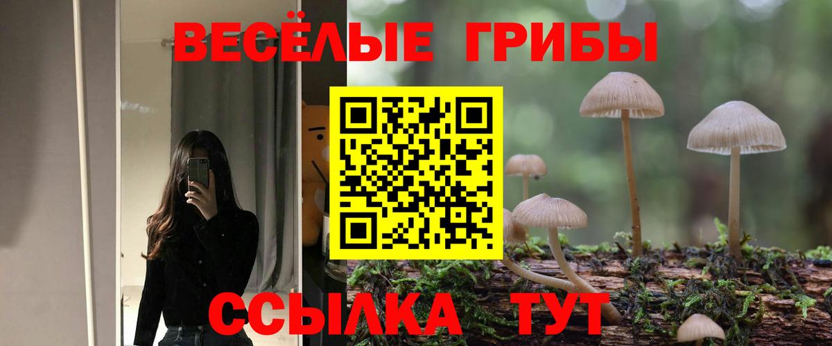Псилоцибиновые грибы Psilocybine cubensis Ростов Великий
